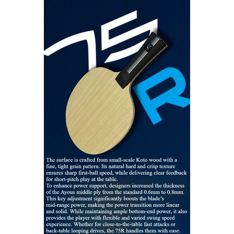 Настольный теннисный ракетка S – обзор и цена Table Tennis Paddles
